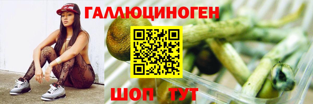 Галлюциногенные грибы прущие грибы  где купить   Улан-Удэ  Галлюциногенные грибы прущие грибы  Вход с VPN 